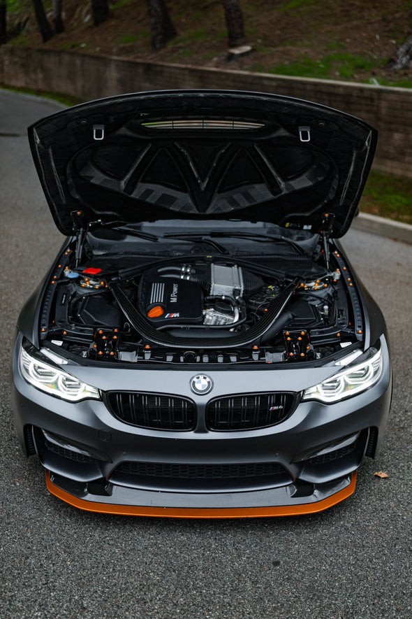 BMW 2014-2019 M2C/M3/M4 Dress Up Hardware Kit (F80/F81/F82/F87)