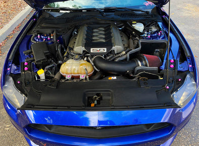 Ford Mustang 2015+ Billet Dress Up Hardware Kit (S550)